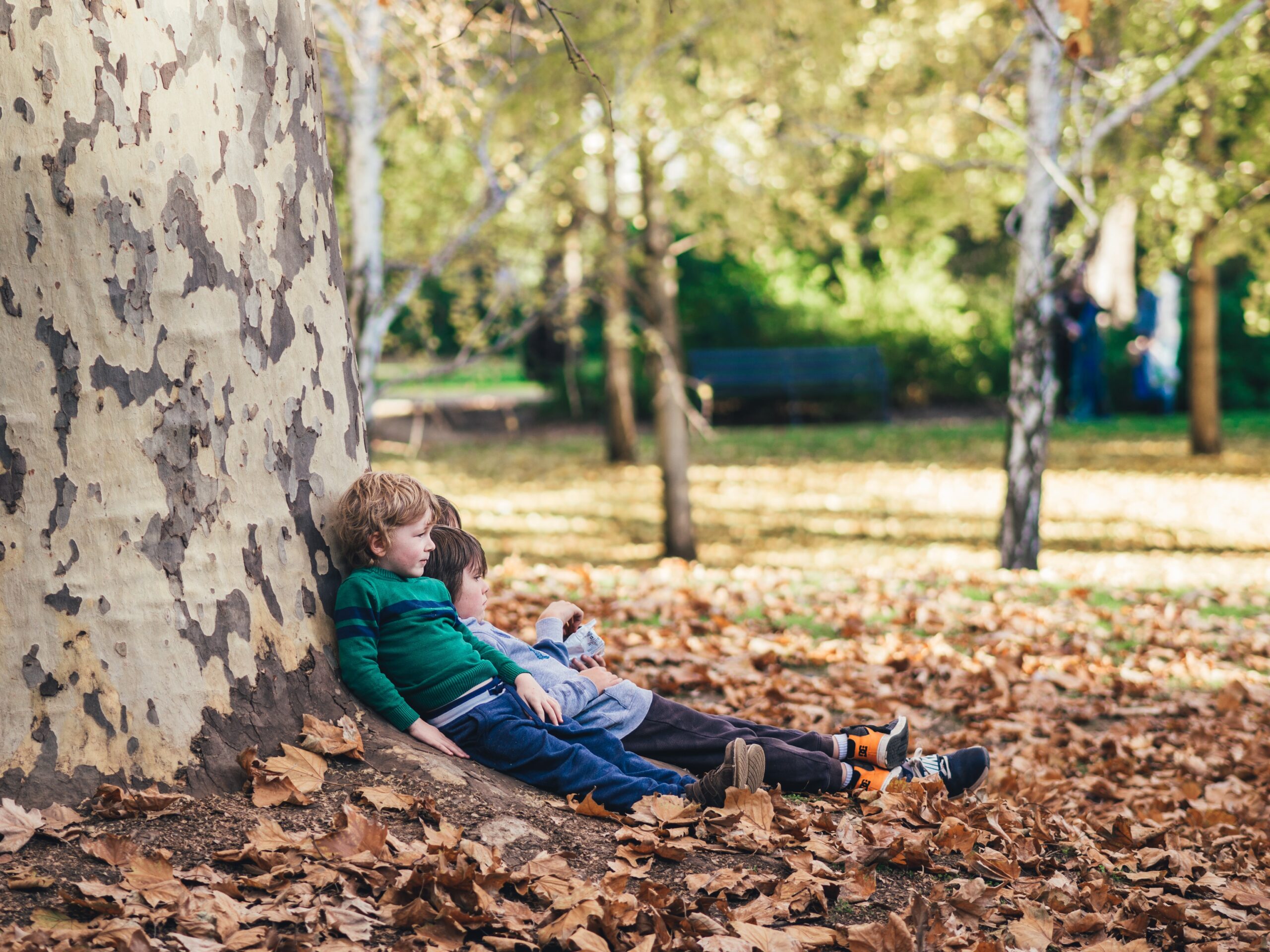 little boy leaning against a tree