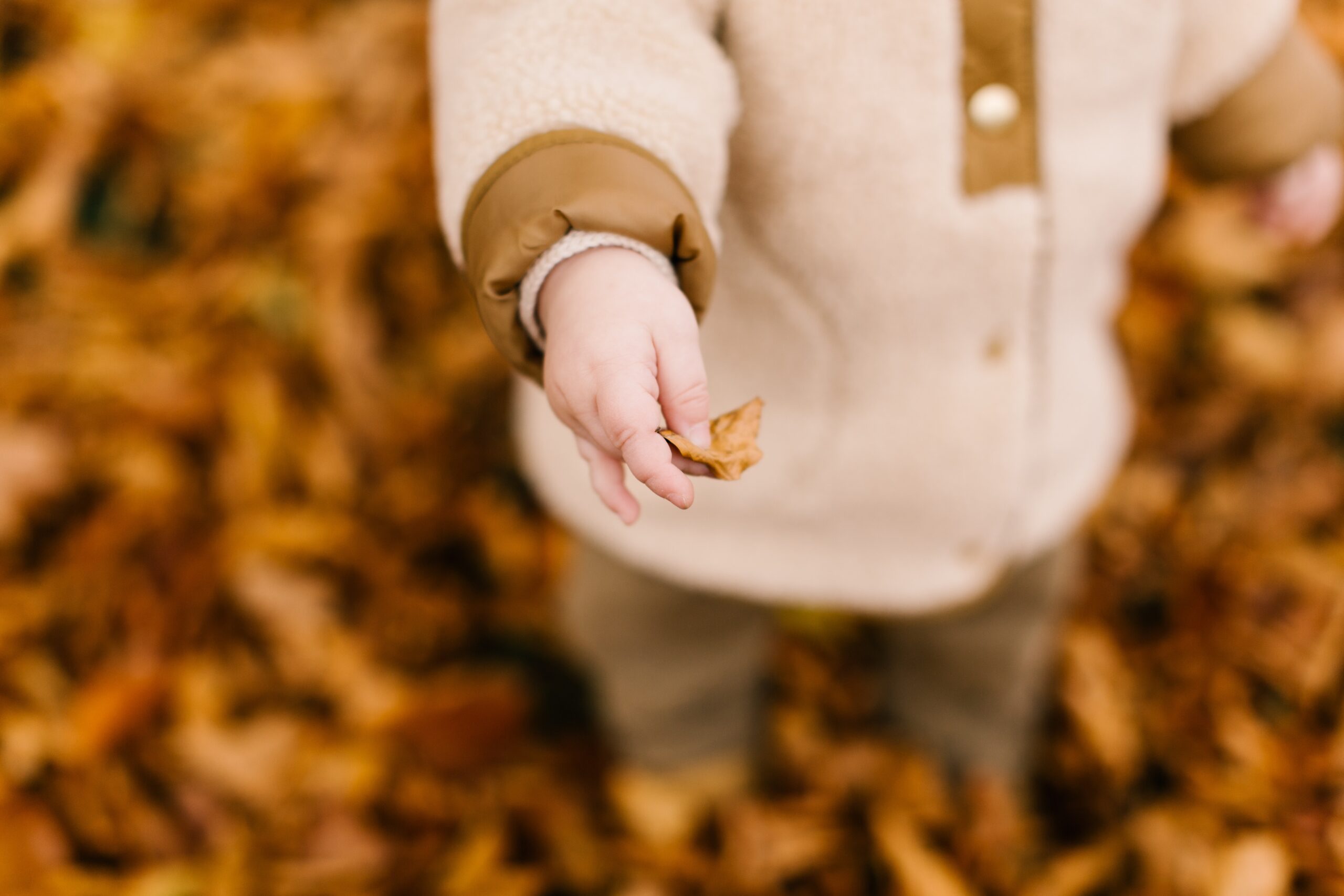 Child in brown jumper holding  a brown leaf