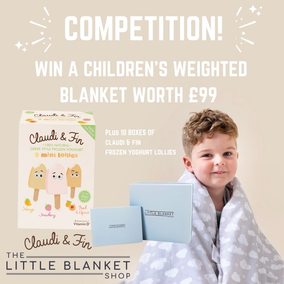 Competition artwork Claudi & Fin and The Little Blanket Shop