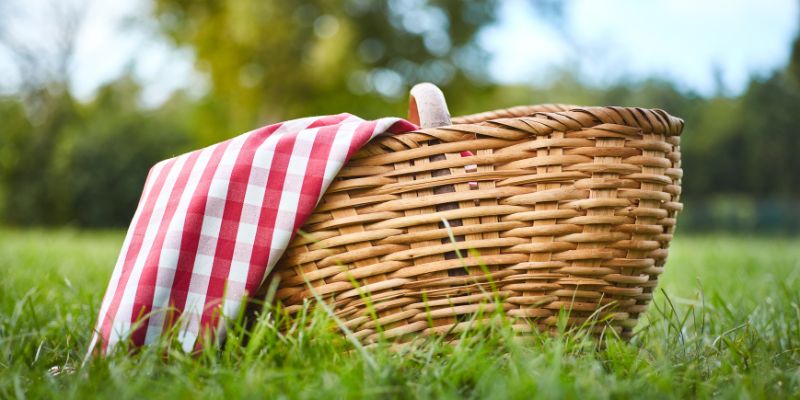 Picnic basket on green grass